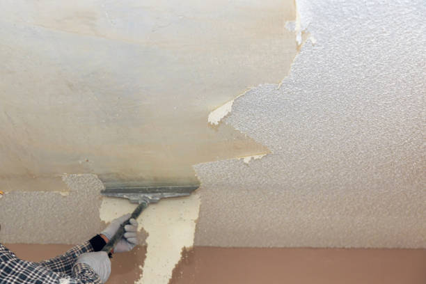 Popcorn ceiling removal